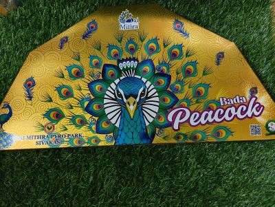 Bada Peacock Multicolour